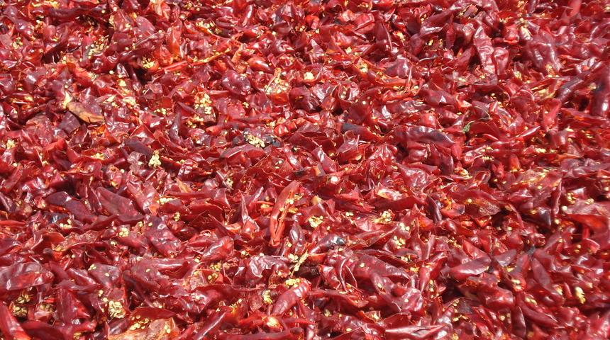 Biyokimya Uzmanı Ercan: Acı biber koronavirüsle mücadelede etkili