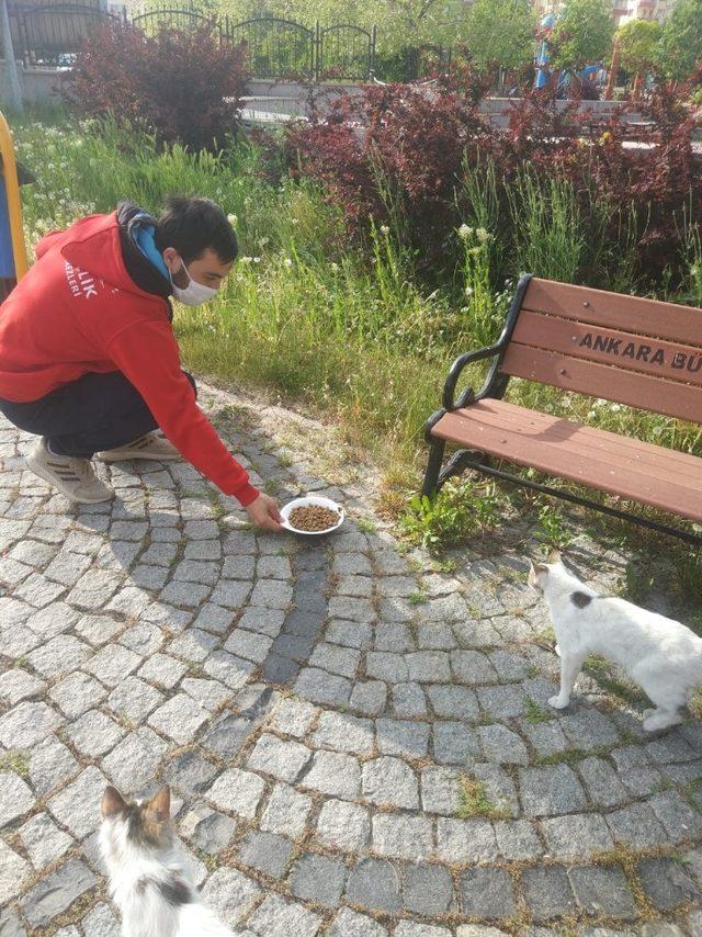 Beypazarı Gençlik Merkezi çalışmaya ve üretmeye devam ediyor