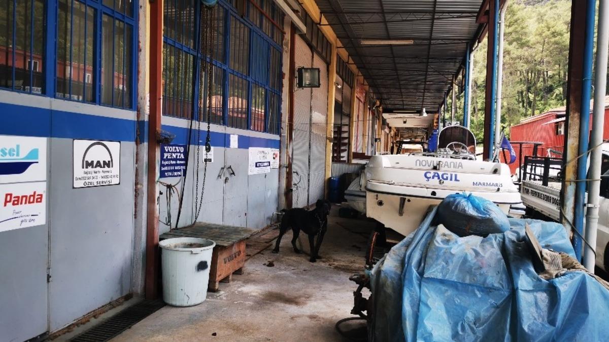 Pitbullun saldırdığı k&ouml;pek g&ouml;revinin başında