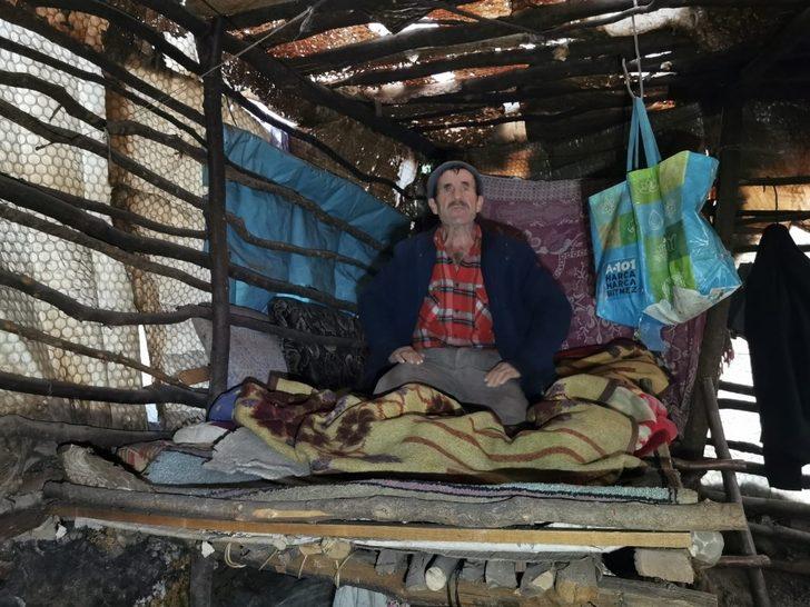 Yürek burkan olay... Aylardır ormanda mağara gibi barakada yaşıyor G1