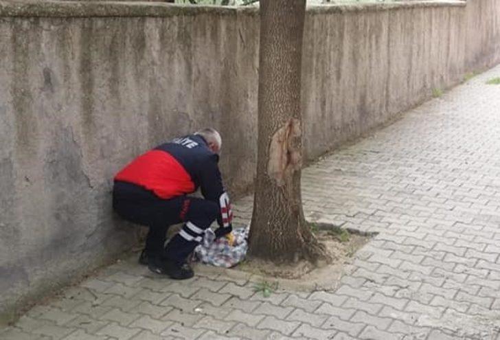 Yavru baykuşu itfaiye ekibi kurtardı G1