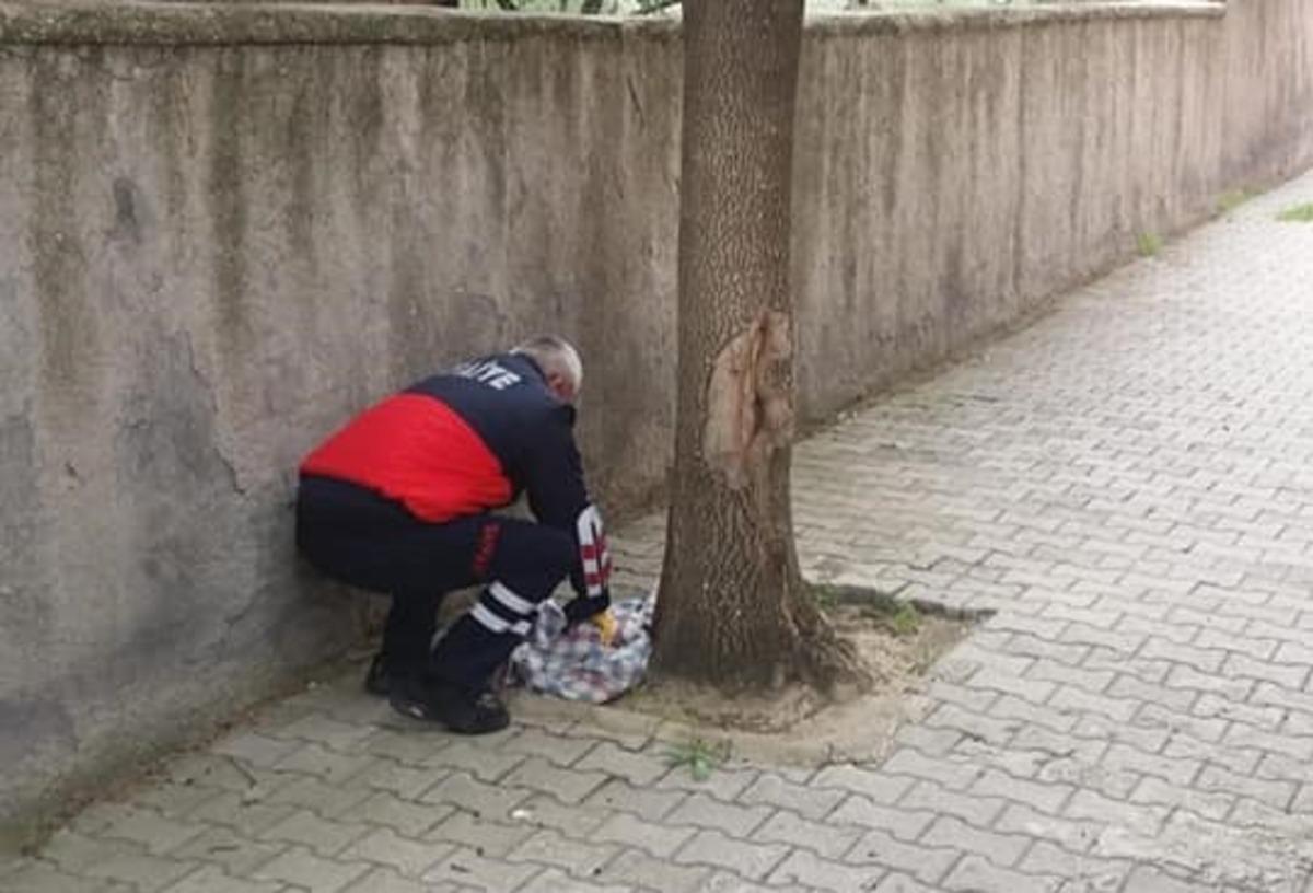 Yavru baykuşu itfaiye ekibi kurtardı