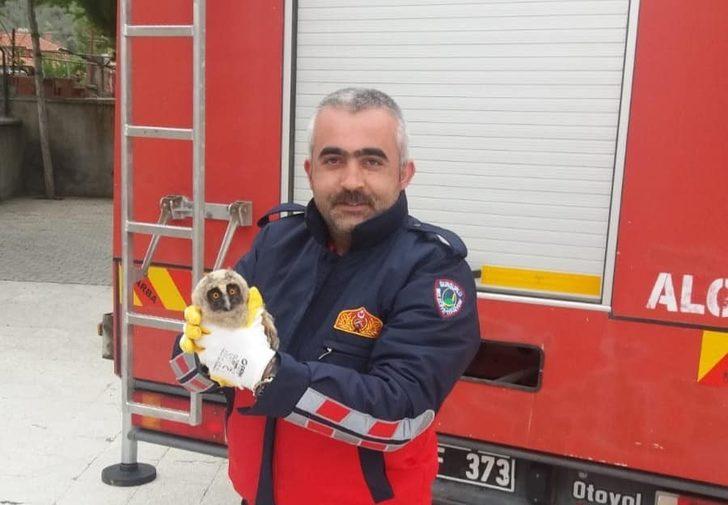 Yavru baykuşu itfaiye ekibi kurtardı G2
