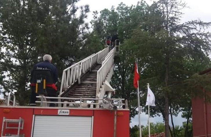 Yavru baykuşu itfaiye ekibi kurtardı G3