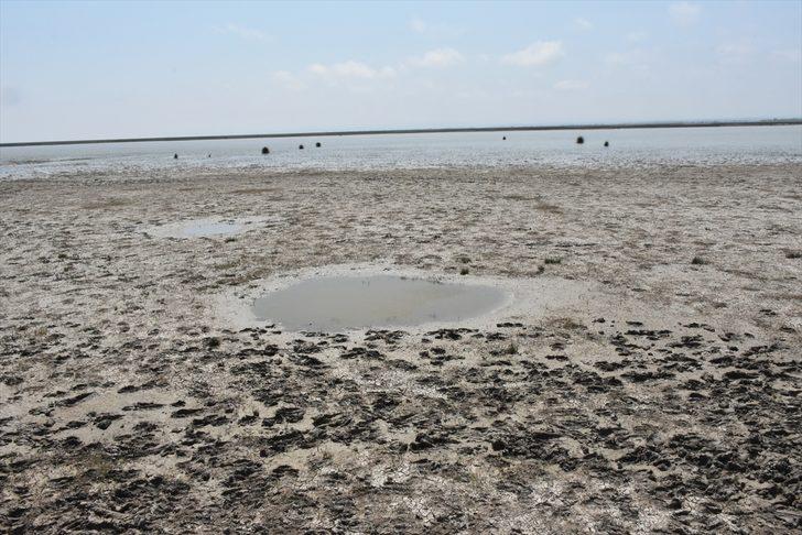 Samsun'un saklı bahçesi: Kızılırmak Deltası Kuş Cenneti G1