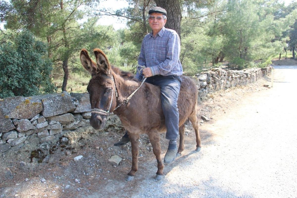 Yaşa takılmadan emektar eşeğinin sırtında dolaşıyor