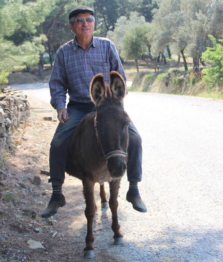 Yaşa takılmadan emektar eşeğinin sırtında dolaşıyor G3