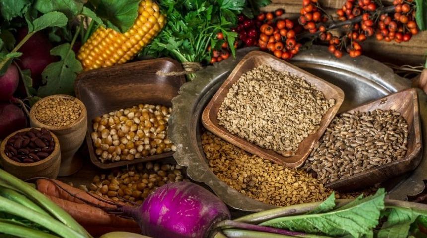 Ata tohumları Türkiye’nin her yanına gönderildi