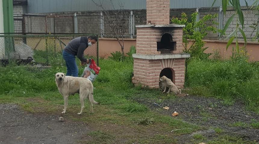 Yaban hayvanları i&ccedil;in doğaya yem bırakıldı