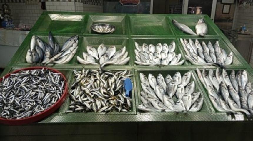 Vatandaşlar &ccedil;upra ve levrek ilgi g&ouml;sterdi