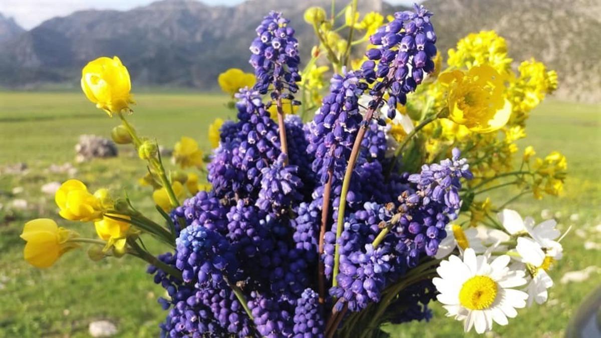 Hayran bırakan manzara bu yıl &ouml;ks&uuml;z kaldı!
