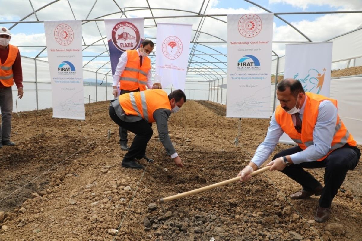 Elazığ&rsquo;da &ccedil;ift&ccedil;iye 2 milyon fide desteği i&ccedil;in &uuml;retim
