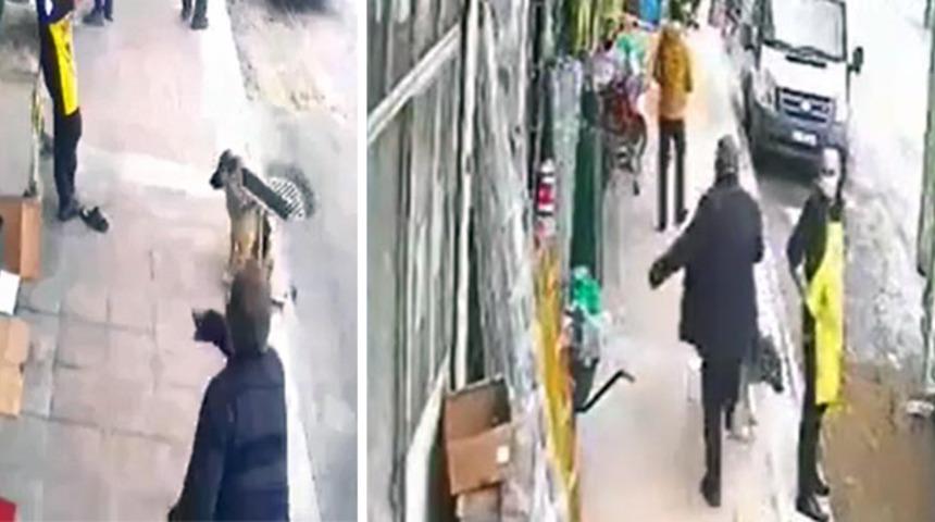 Tek kelimeyle vicdansızlık! Yiyecek bekleyen köpeğe tekme attı
