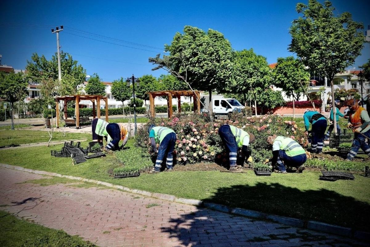 Didim&rsquo;de parklarda yaza hazırlanıyor