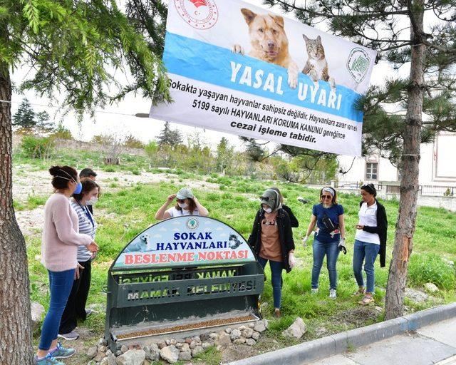 Mamak’ta sokak hayvanları için beslenme noktaları