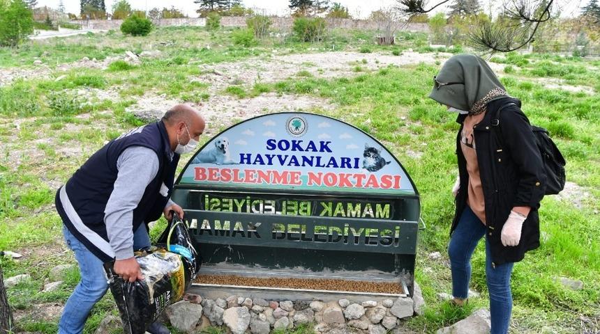 Mamak’ta sokak hayvanları için beslenme noktaları