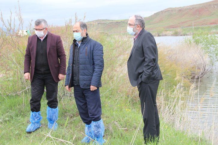 Kızılırmak üzerinde sazan balığı tesisi kuruldu G1