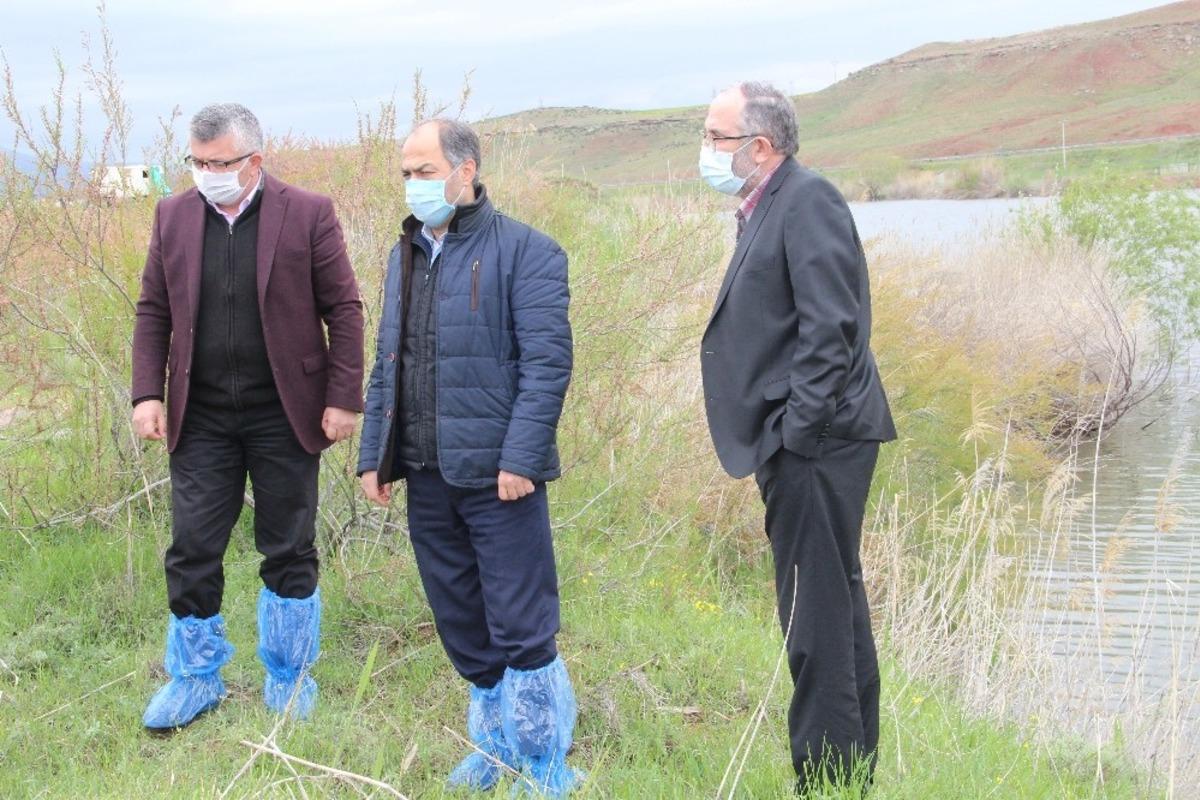 Kızılırmak &uuml;zerinde sazan balığı tesisi kuruldu