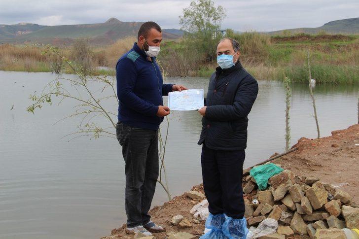 Kızılırmak üzerinde sazan balığı tesisi kuruldu G2