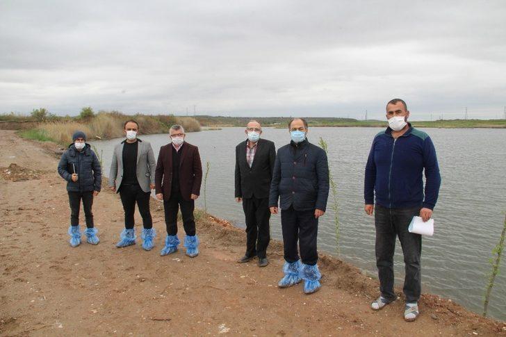 Kızılırmak üzerinde sazan balığı tesisi kuruldu G3