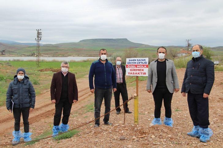 Kızılırmak üzerinde sazan balığı tesisi kuruldu G4