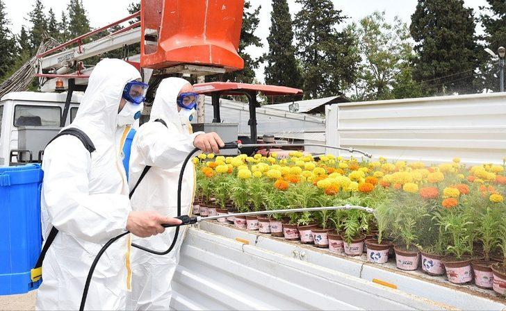 Başkan Yılmaz’dan annelere 100 bin kadife çiçeği G2