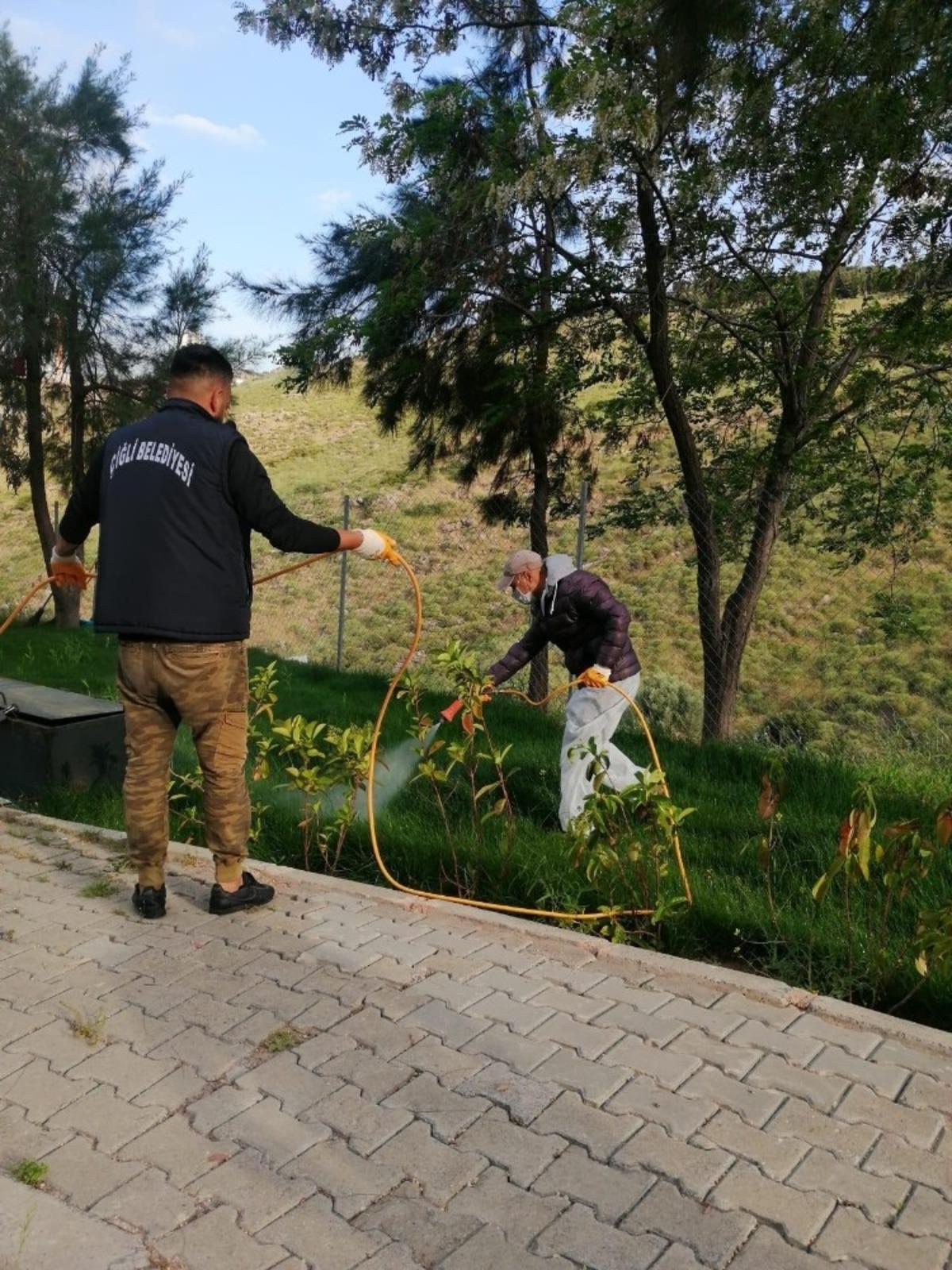 &Ccedil;iğli parklarında &ccedil;im ve bitkilere &ouml;zel bakım