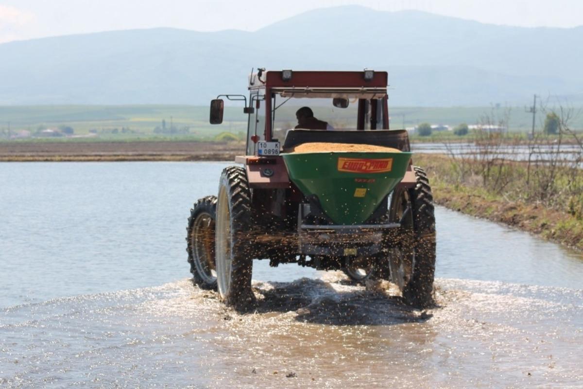 Manyas&rsquo;ta &ccedil;eltik ekimi başladı