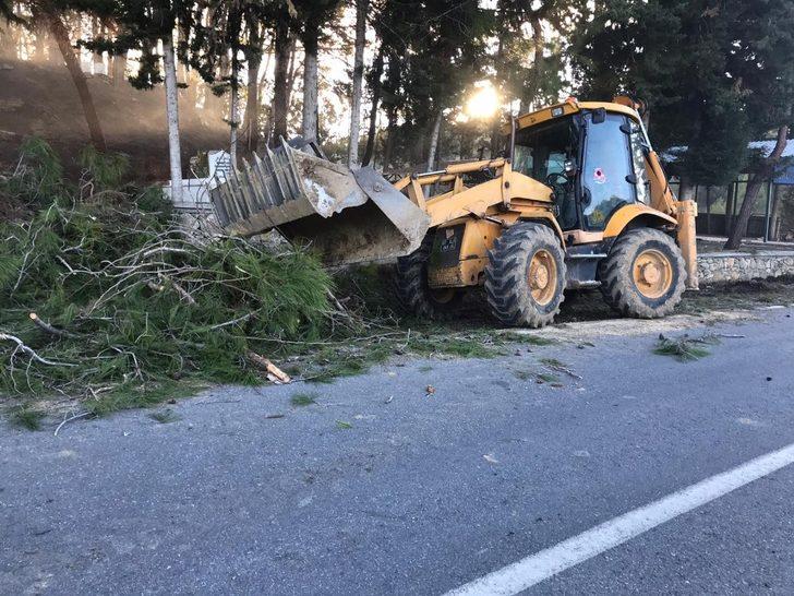 Büyükşehir mezarlıkları temizleniyor G3