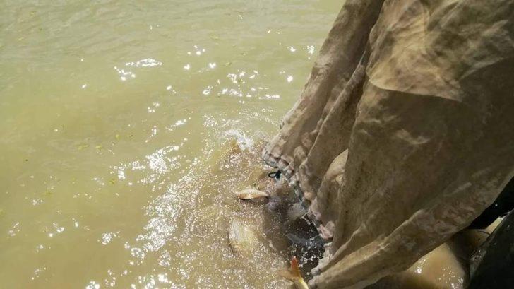 Elazığ’da bin metrelik kaçak balık ağı toplanarak imha edildi G2