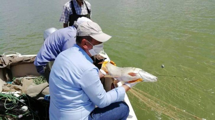 Elazığ’da bin metrelik kaçak balık ağı toplanarak imha edildi G3