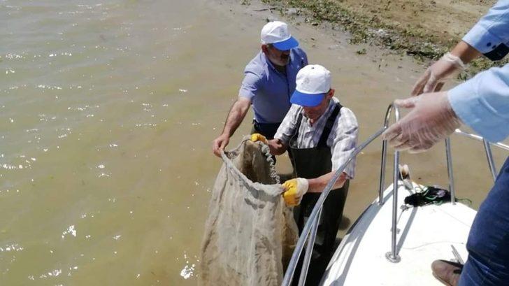 Elazığ’da bin metrelik kaçak balık ağı toplanarak imha edildi G5