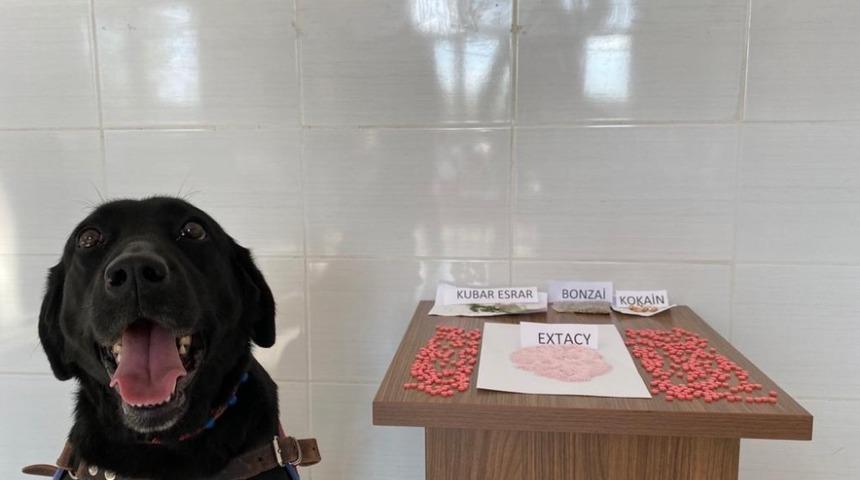 Jandarma&rsquo;dan uyuşturucu operasyonu