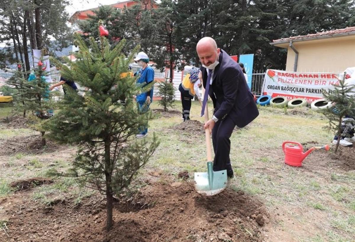 Amasya&rsquo;da organ bağış&ccedil;ılarının isimlerinin yaşatılacağı parka fidanlar dikildi