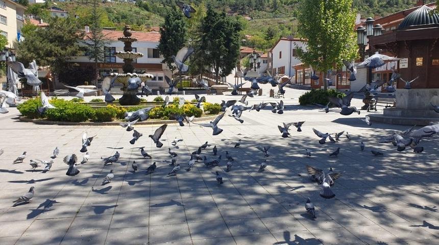 Nallıhan&rsquo;da Cumhuriyet Meydanı g&uuml;vercinlere kaldı