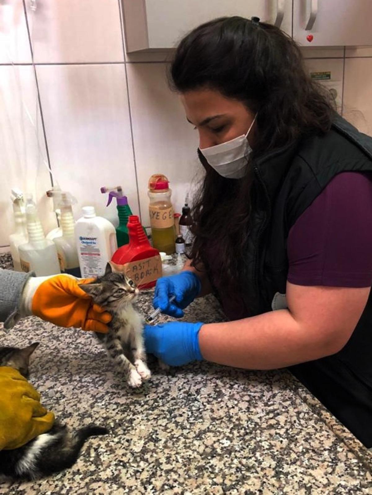 Osmangazi&rsquo;de sokak hayvanları d&uuml;zenli olarak besleniyor