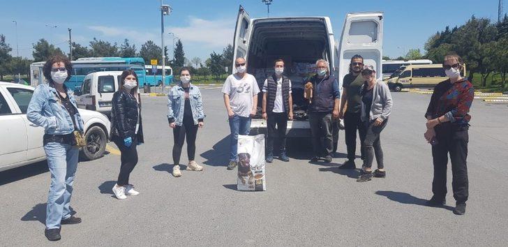 Sokak hayvanlarına ilk mama kaymakamdan G3