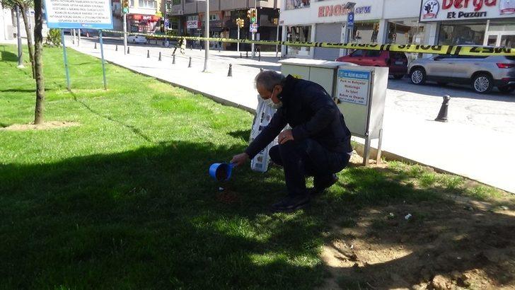 Sokak hayvanlarına ilk mama kaymakamdan G4