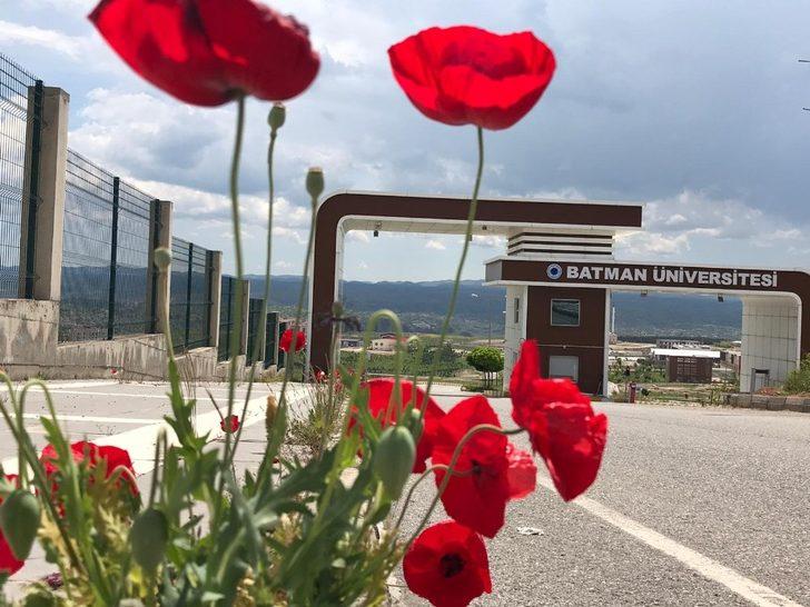 Ilısu Barajı bölgeyi kalkındırıyor G3