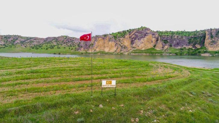 Ilısu Barajı bölgeyi kalkındırıyor G4