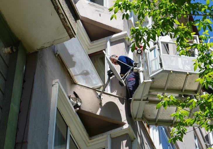 Balkonda mahsur kalan kediyi itfaiye kurtardı G1