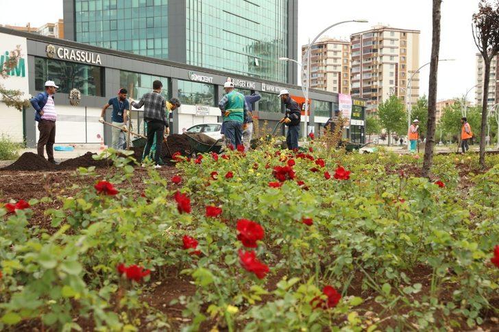 Büyükşehir çalışıyor, Diyarbakır yeşilleniyor G1