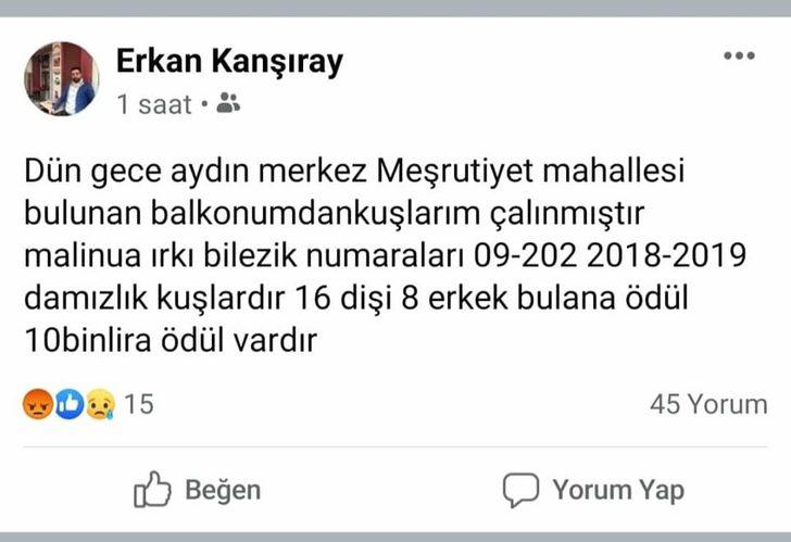 Kuşları çalınan kişi: Bulana 10 bin TL vereceğim G1