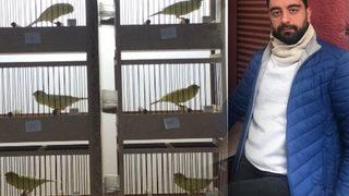 Kuşları çalınan kişi: Bulana 10 bin TL vereceğim