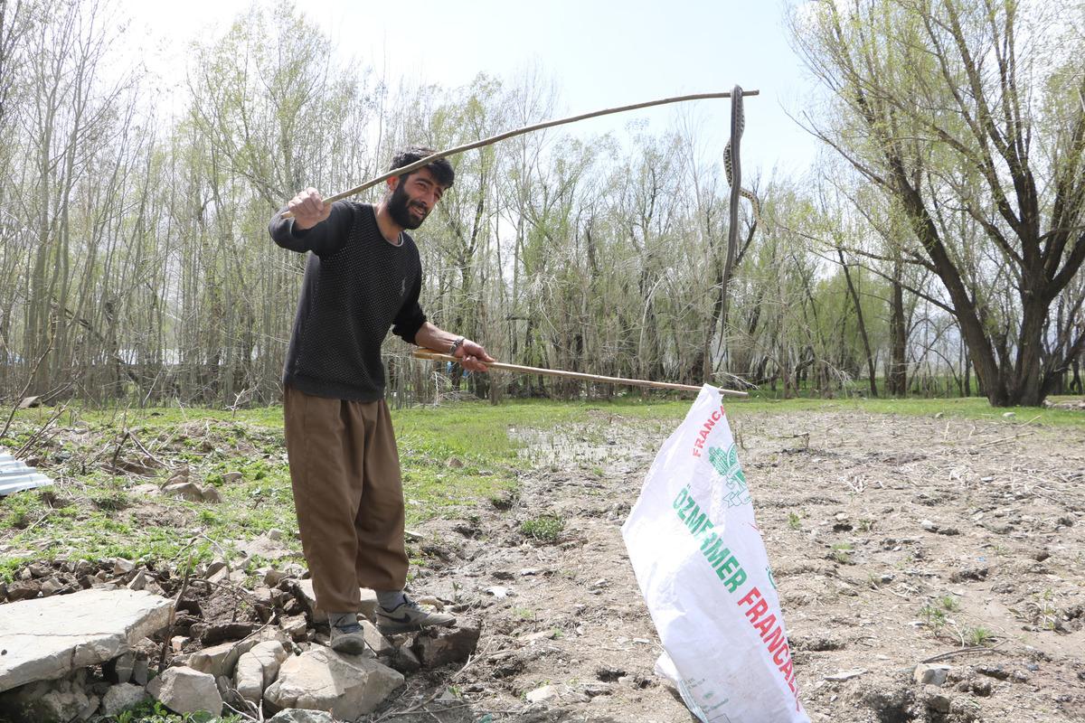 Korktukları i&ccedil;in terk ettikleri evlerinden 20 yılan daha &ccedil;ıktı