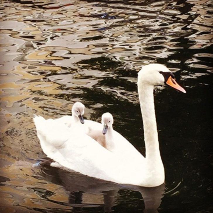 Beren Saat suskunluğunu bozdu G2