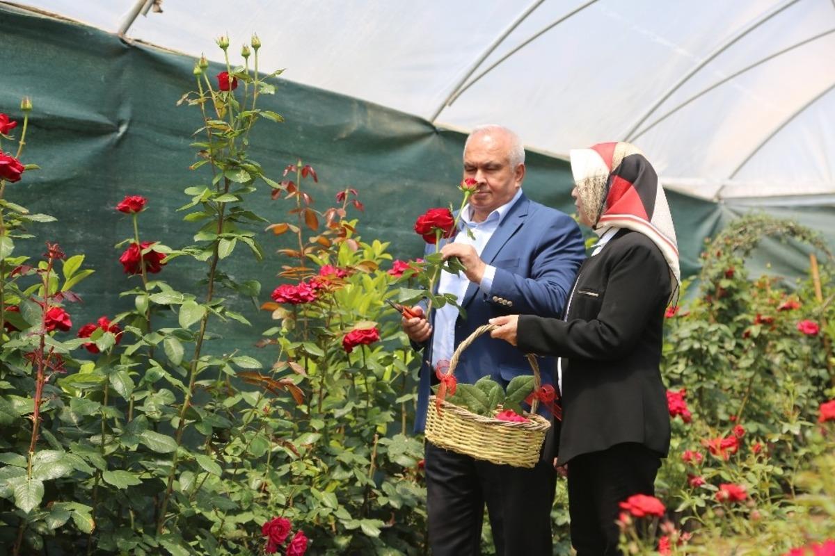 Erdemli&rsquo;de annelere sepet dolusu g&uuml;l