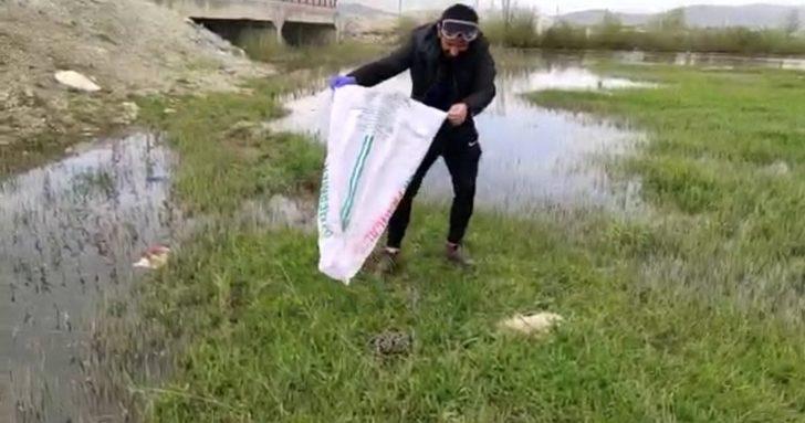 Evde yakalanan 30’a yakın yılan doğaya bırakıldı G3