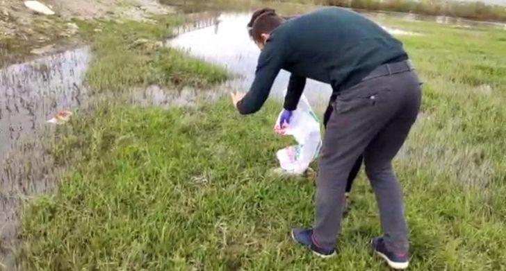 Evde yakalanan 30’a yakın yılan doğaya bırakıldı G5