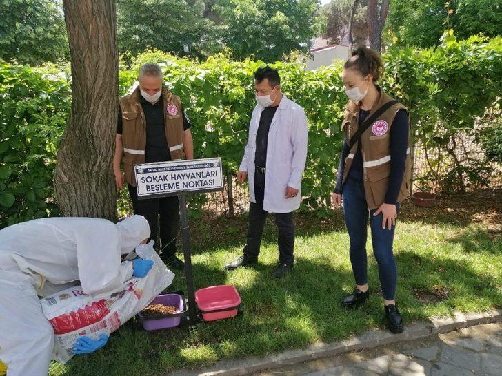 Sokak hayvanları unutulmadı G2